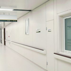 NON-INFLAMMABLE PHENOLIC WALL